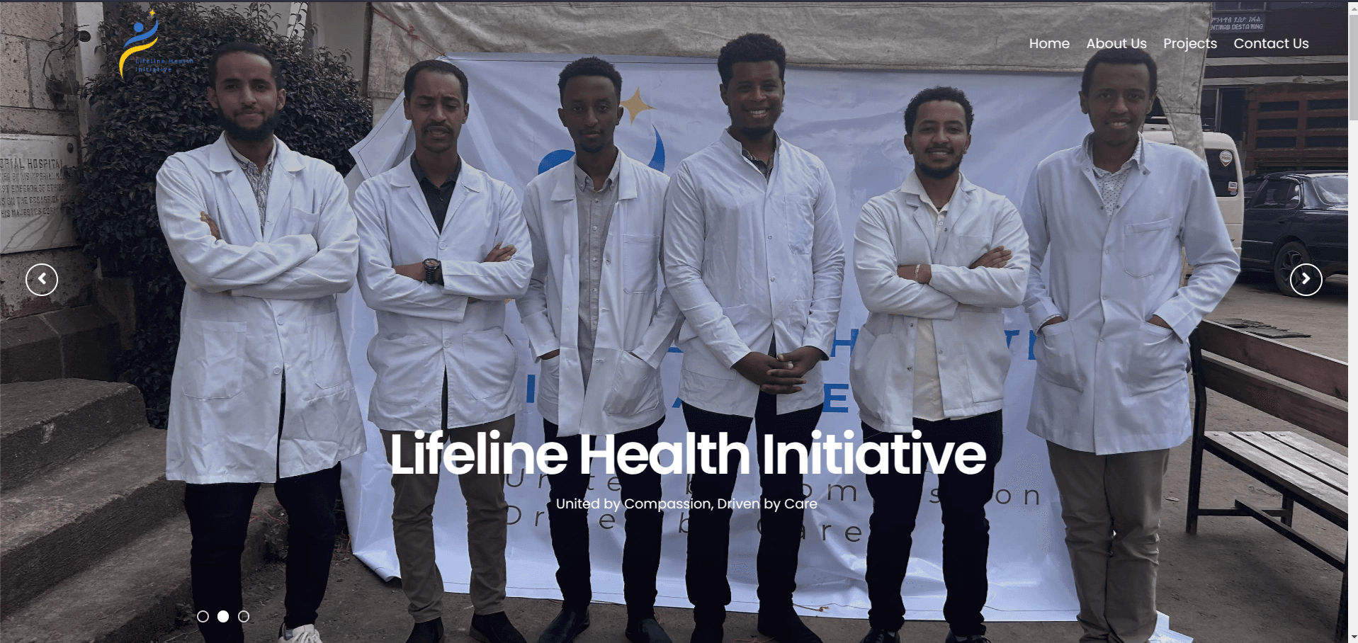 Screenshot of Lifeline Health Initiatives project
